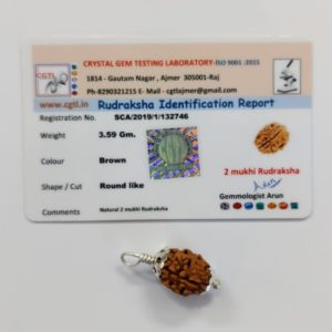 2 मुखी रुद्राक्ष - 2 Mukhi Rudraksha With Silver Cap Pendant With Lab Report