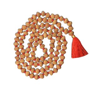 10 Mukhi Indonesian Rudraksh mala 108 beads