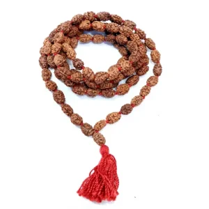 2 Mukhi Indonesian Rudraksh mala 108 beads