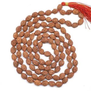 4 Mukhi Indonesian Rudraksh mala 108 beads