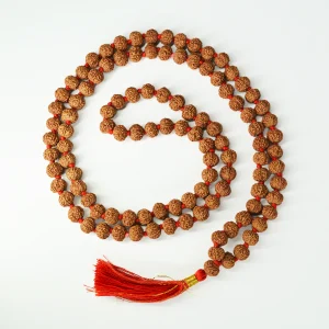 7 Mukhi Indonesian Rudraksh mala 108 beads